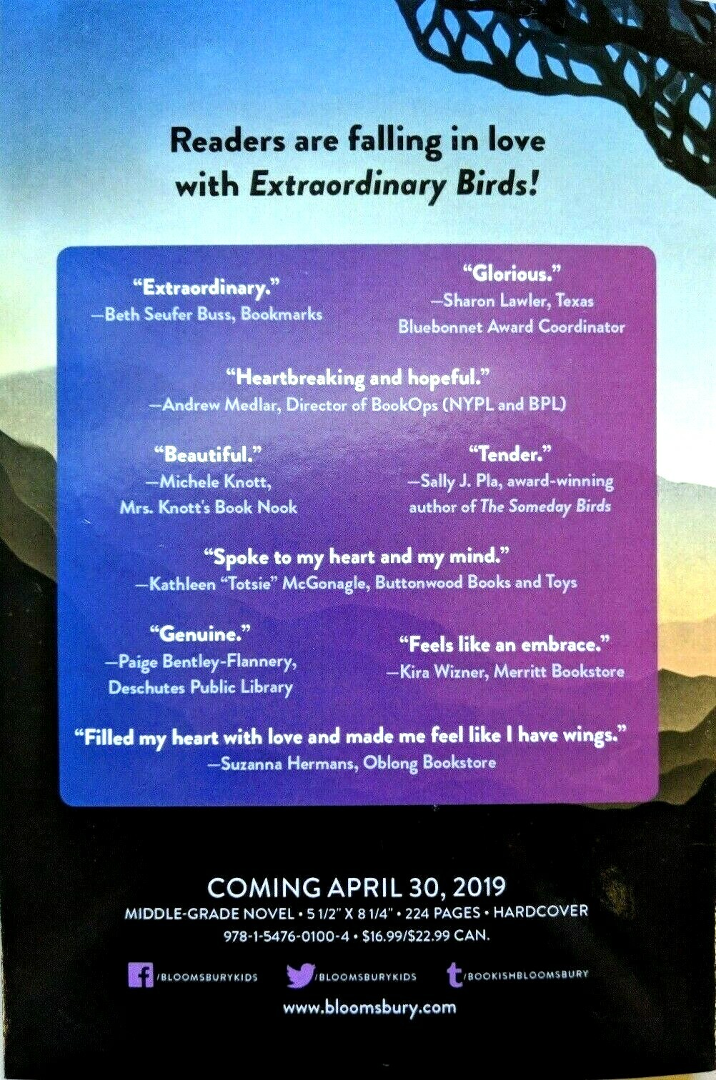 NEW ARC Extraordinary Birds by Sandy Stark-Mcginnis YA RARE ADVANCE COPY Book