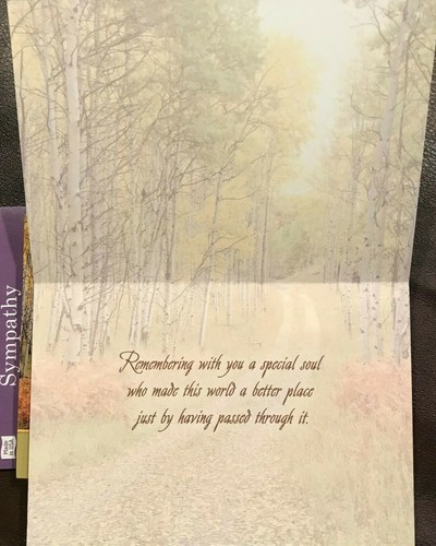 Sympathy Cards by Leanin Tree Choose From List of 16 New from Card Display - Picture 56 of 61