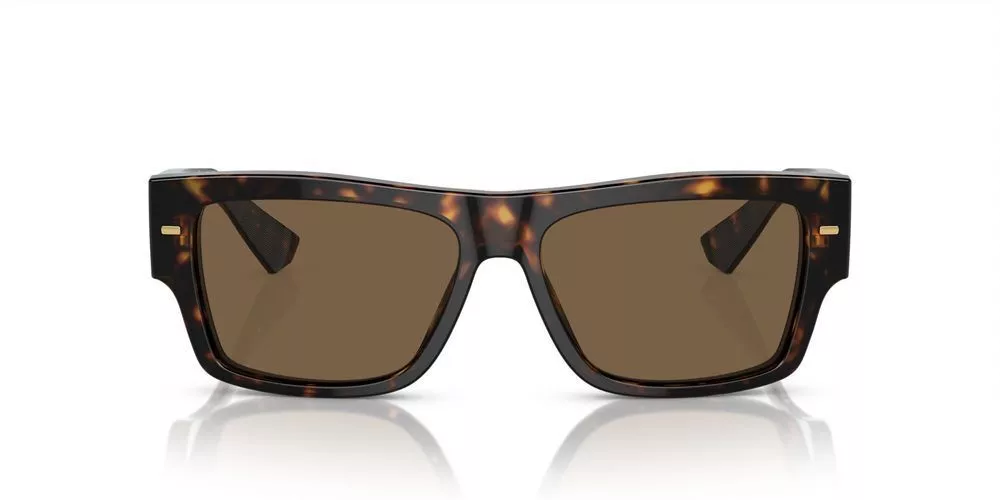 Dolce & Gabbana DG 4451 HAVANA/Brown 55/15/145 men Sunglasses Dolce & Gabbana DG 4451 HAVANA/Brown 55/15/145 men Sunglasses