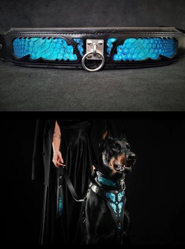 The Beautiful Morelia Python Collar - Handcrafted - Geniune Leather - Picture 2 of 9