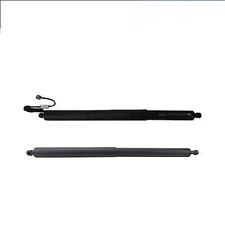 Lift Support Shock Strut Set Pair For 2015 - 2018 Ford Edge