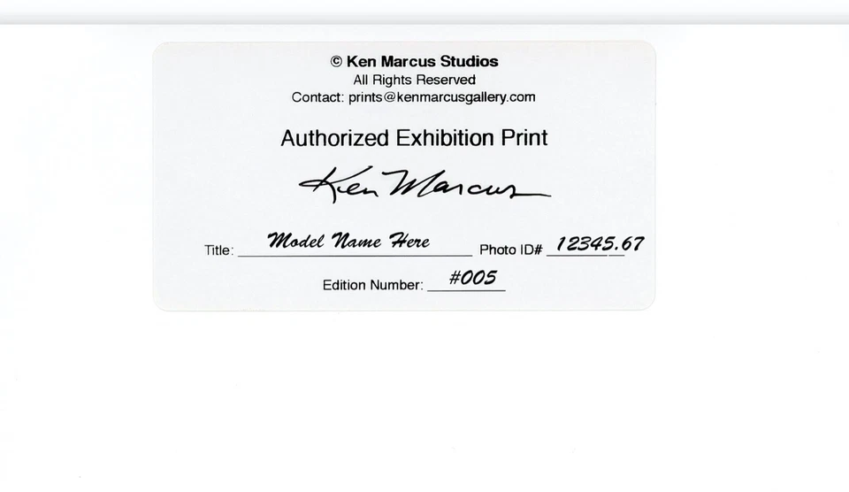 Traje de baño Pamela Anderson 92-005 Baywatch foto 8,5x11 firmada por Ken Marcus Foto 4 de 4