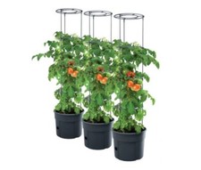 Tomato Grower Pot Planter Growing Set Support Home Garden Indoor Outdoor UK 12L