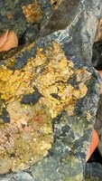 Premium High-Grade Gold Ore Specimens by the Gram - 14% Au Visible Gold 6