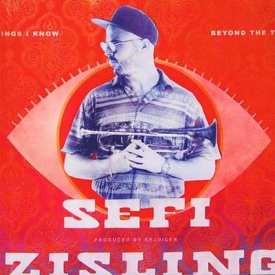 Sefi Zisling - Beyond The Things I Know (Vinyl LP - 2017 - EU - Original)