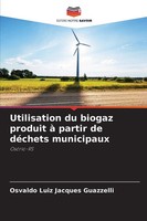 Utilisation Du Biogaz Produit à Partir De DéChets Municipaux OsóRio-Rs Guazzelli