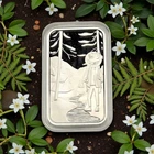 2024 Gone Camping 1 oz .999 Silver Bar Mr Silverstacker Ltd #03/50