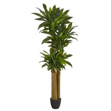 Nearly Natural 6-ft Corn Stalk Dracaena Artificial Plant (Real Touch)