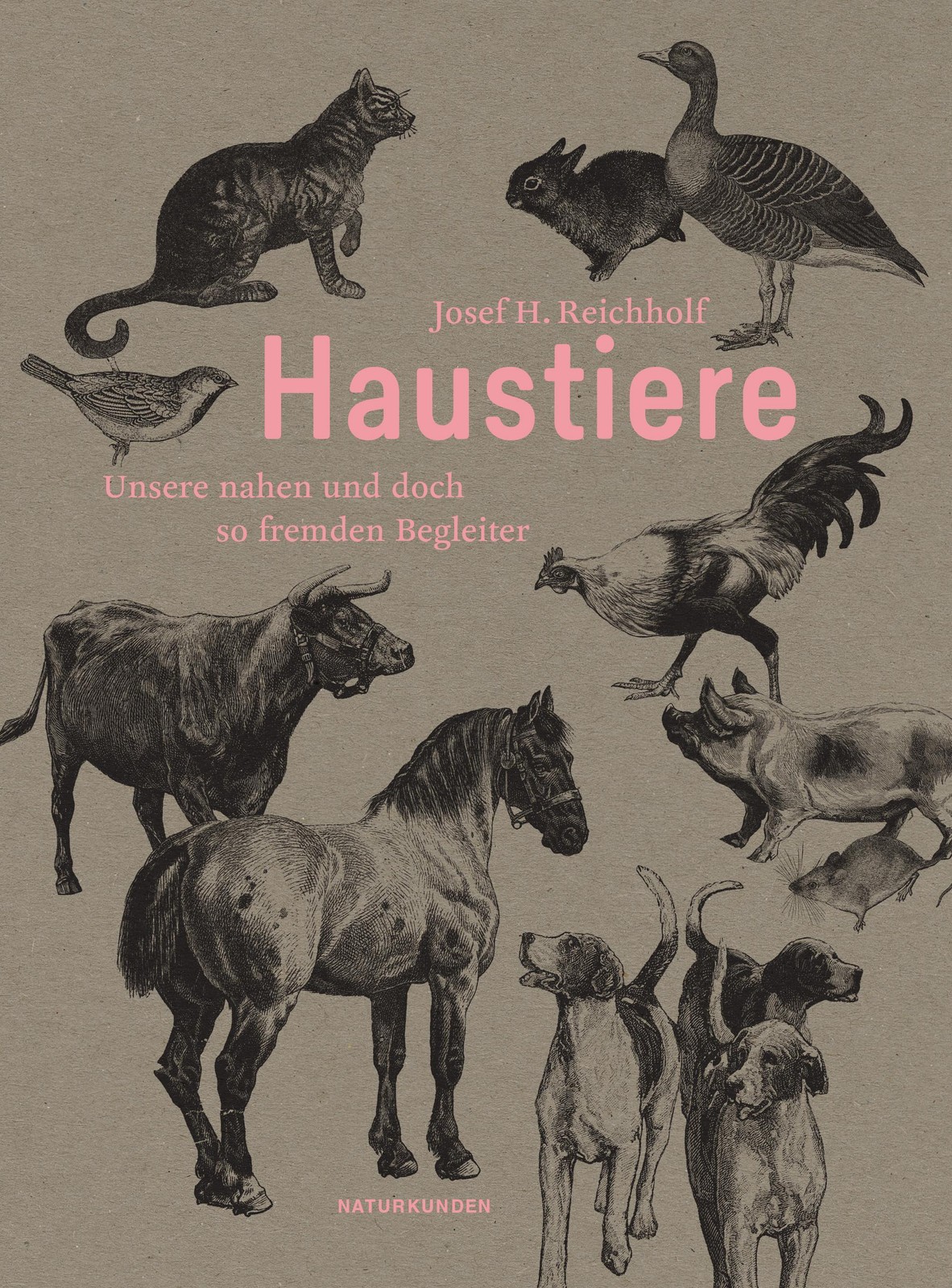 Haustiere: Unsere nahen und doch so fremden Begleiter (Naturkunden) - Bild 2