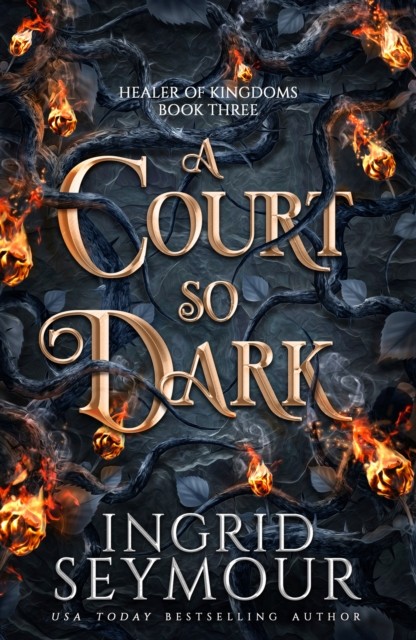 A Court So Dark by Ingrid Seymour (Paperback Book)