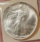 1986 American Silver Eagle Brilliant Uncirculated One Troy Ounce .999 Fine TONED