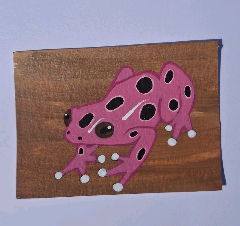 Aceo Original Painting Pink Dart Frog