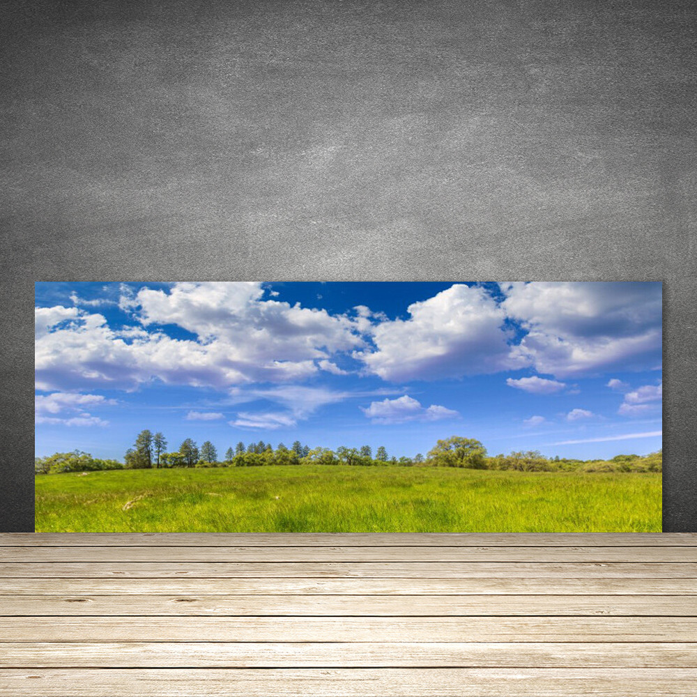 Crédence de cuisine en verre 125x50 cm motif herbe de prairie naturelle