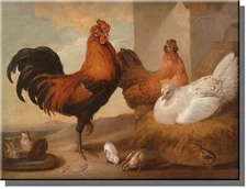 Rooster and Chicken Picture on Stretched Canvas, Wall Art Decor Ready to Hang!.