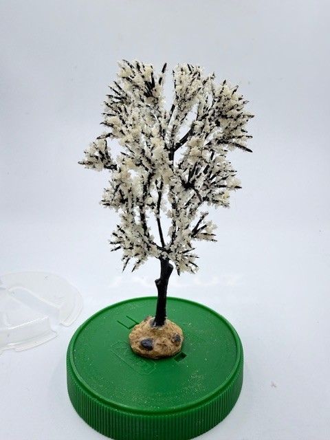 Picture 1