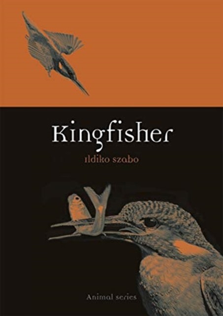 Kingfisher by Ildiko Szabo (Paperback Book)