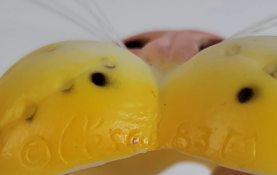 Mini Máscara Nariz Animal Vintage Vinilo Suave Cesar 1983 Disfraz Cosplay Juguete LOTE 2 Foto 3 de 4