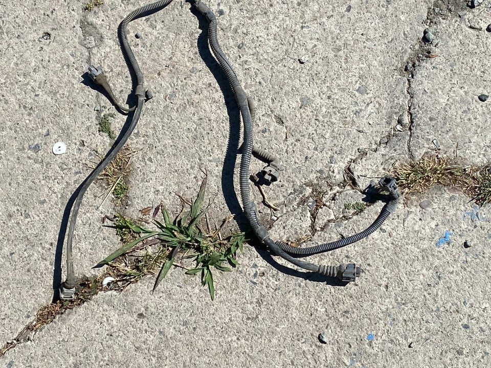 Cadillac Catera 1997 bajo capó motor cableado arnés cableado conector Foto 4 de 4