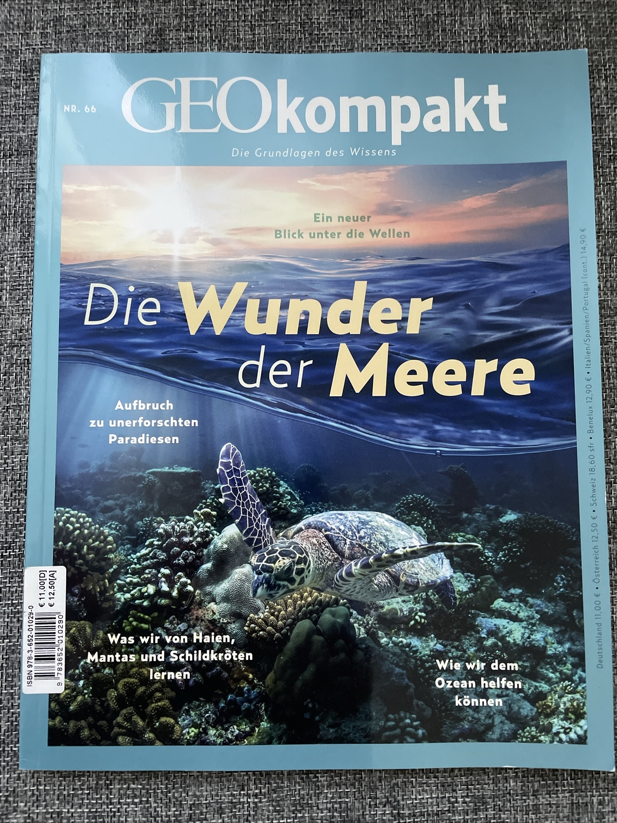 Geokompakt 66/2021 - Die Wunder Der Meere | Die Grundlagen Des Wissens