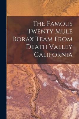The Famous Twenty Mule Borax Team From Death Valley California by Anonymous