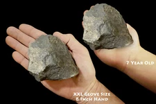 MAGNETITE PYRITE 3 1/2" 13-16 Oz Healers Gold Raw Rock Mineral Healing Crystal