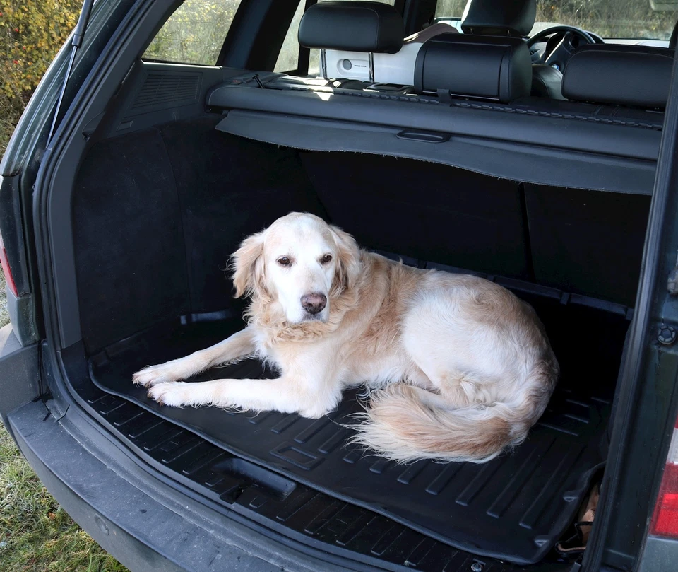 Kofferraumwanne für Dacia Jogger ab 2022- Laderaumwanne Kofferraummatte Wanne - Bild 4 von 4