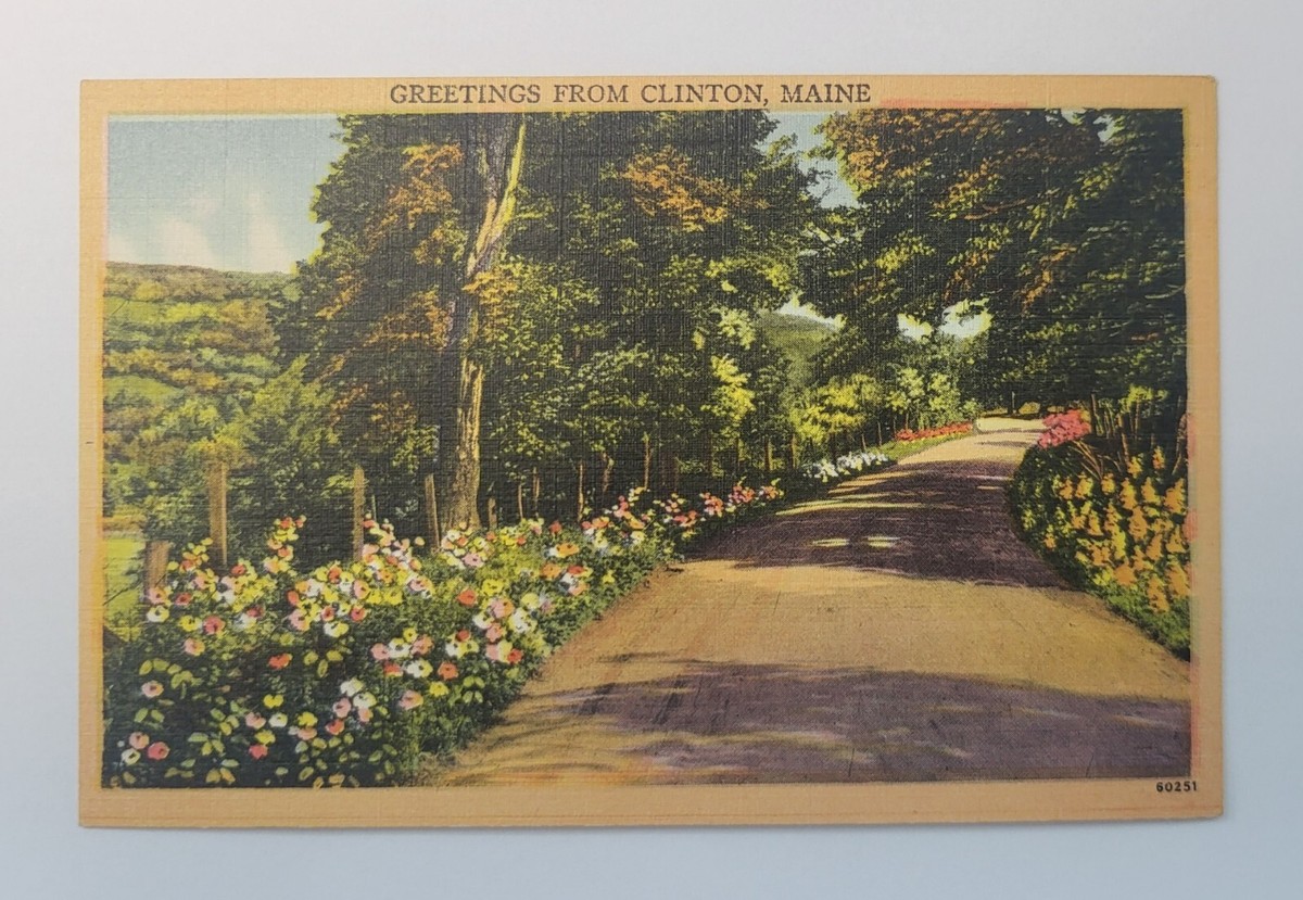 Clinton Maine Vintage Linen Postcard Country Road Path 3.5