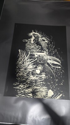 BNG Watership Down Screenprint Artist Proof by Raid71