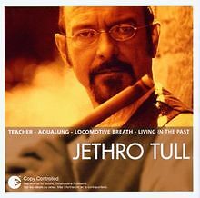 Essential von Jethro Tull | CD | Zustand gut