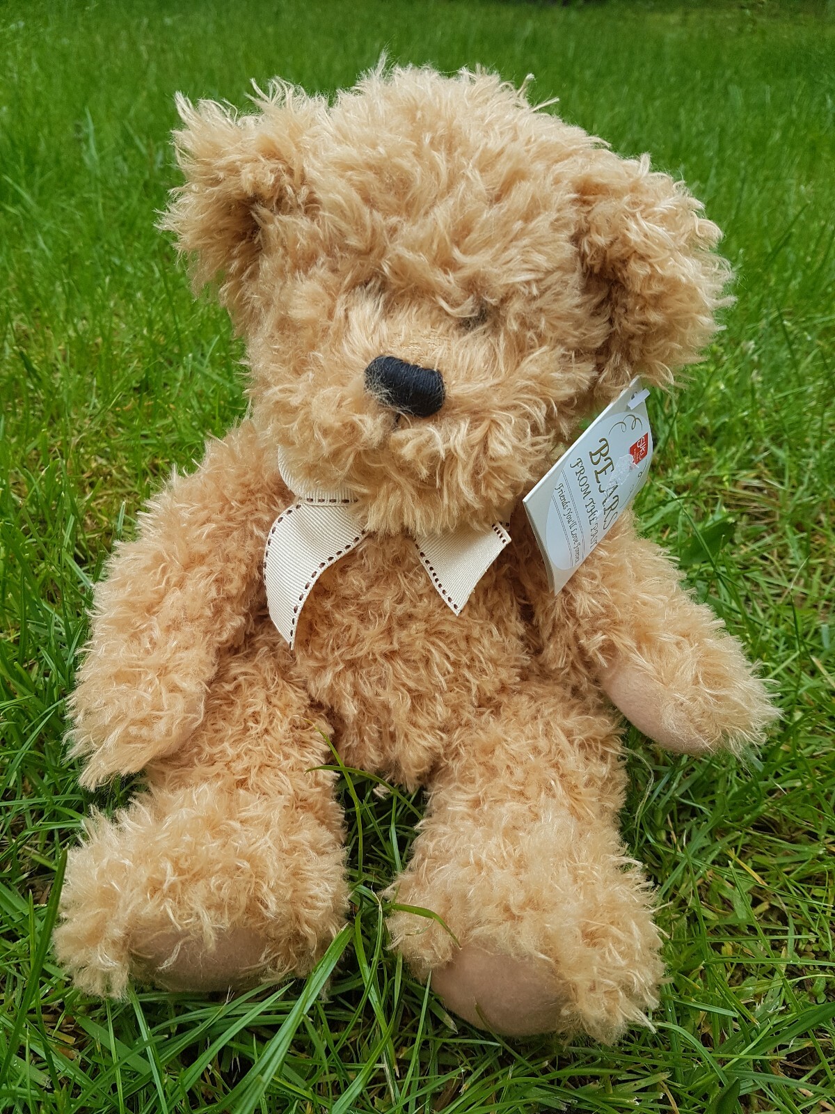 Suki 17006 Jack Teddy Bear Medium with Organza Pull String Bag