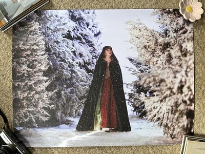 Taylor Swift Wildest Winter Lithograph Print Rare Brand New