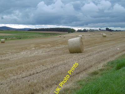 Photo 6x4 Thin end of the wedge Kirriemuir A very acute angled field with c2015