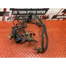 Honda VTR 1000 F Firestorm 1997-2000 Main Power Harness