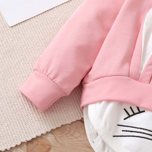 Kids Baby Girl Hooded Sweatshirt Tops Pants Outfit Set Toddler Hoodies Tracksuit - Picture 6 of 8