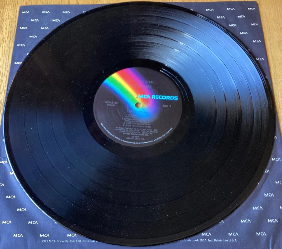 Iron Butterfly “Sun And Steel" 33 1/3 rpm LP record, MCA-2164 - Image 4 of 4