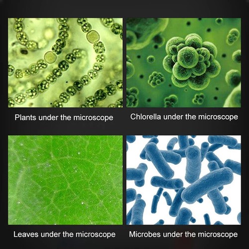 1200X Biological Microscope Kit with LED Microscopio Gift Children's Microscope - Picture 6 of 20