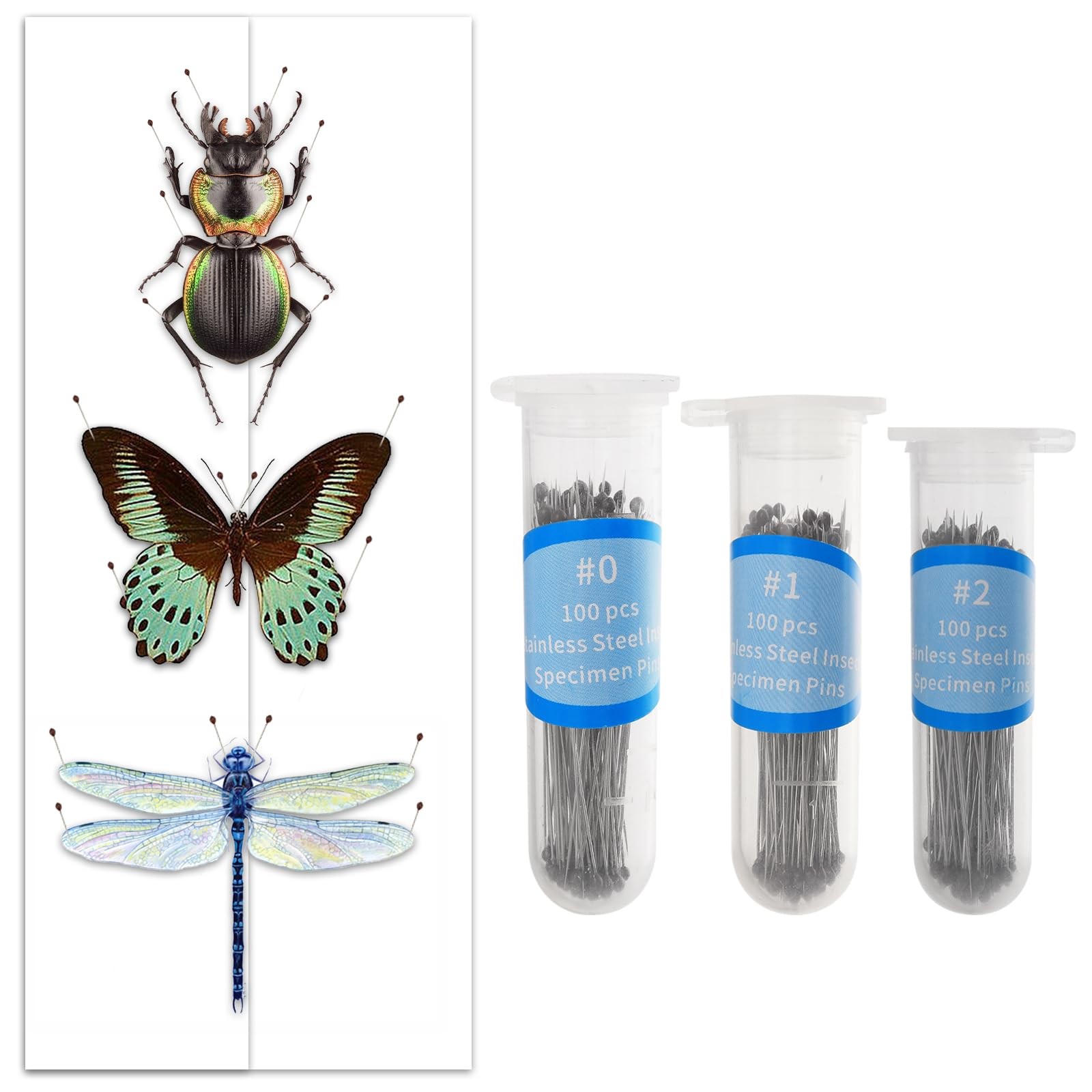 Épingles à insectes 3 tailles lot de 300 aiguilles entomologie pour boîte de collection