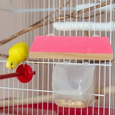 Wood Bird Perch Platform Cockatiel Playground Parrot Cage Accessories Toy
