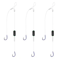 Double Hooks with Scale Weight Pretied Small Fishing Hook with Line 10# hook-...