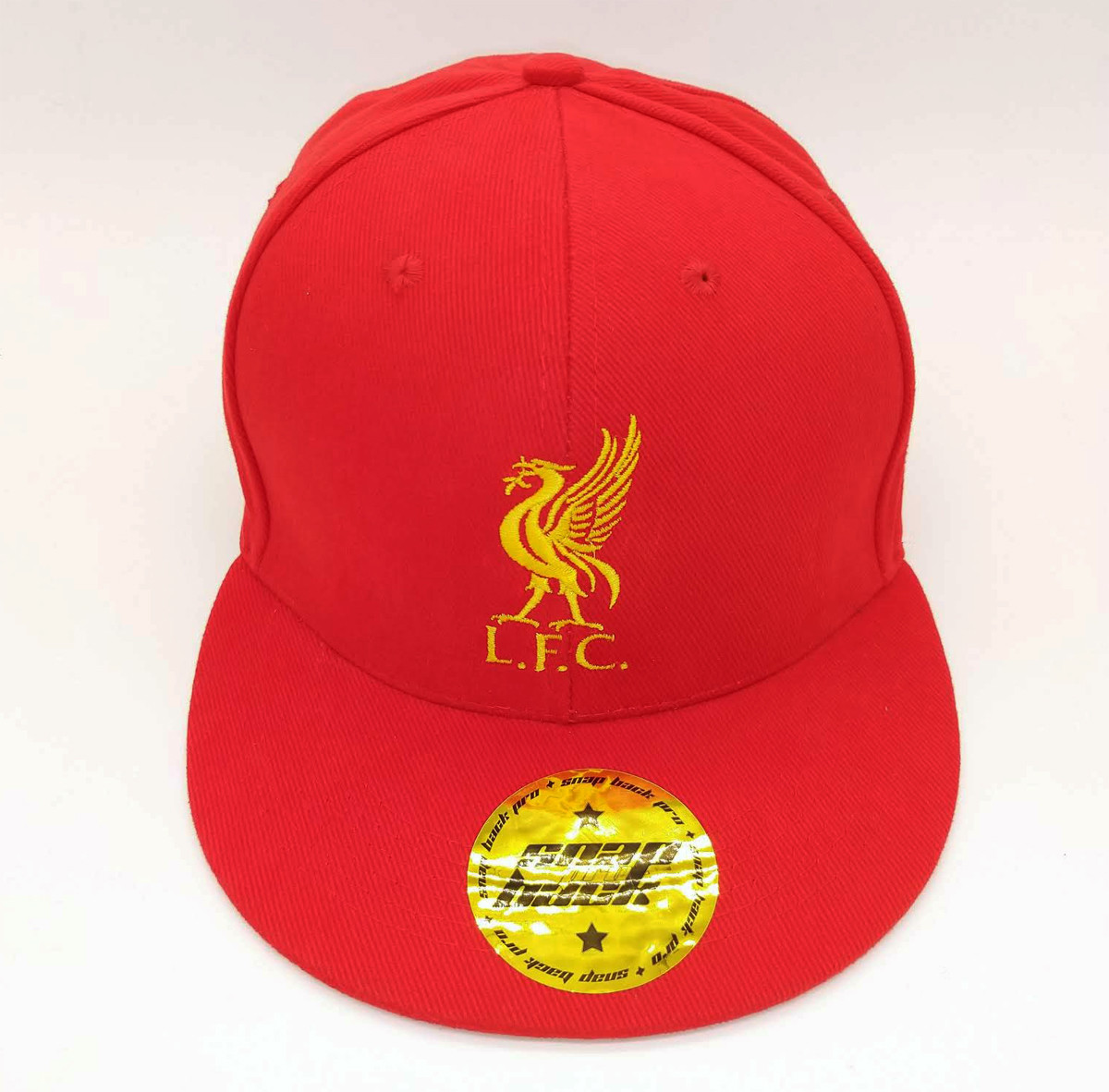 liverpool snapback cap