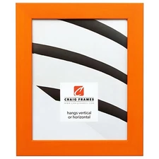 Craig Frames Colori 125, Modern 1.25" Picture Frame Poster Frame, Various Colors