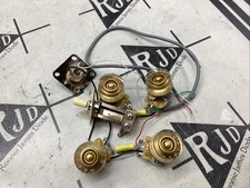 Epiphone 1954 Jeff Back Les Paul Control Harness Electronics Switchcraft CTS