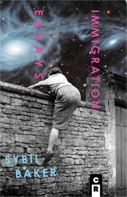 Immigration Essays (Paperback or Softback)