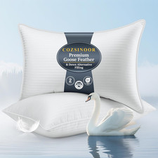 Goose Feather Pillows Queen Size Set of 2 - Hotel down Bed Pillow for Sleeping,