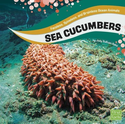 Sea Cucumbers: Faceless, Spineless, and Brainless Ocean Animals by Jody S. Rake 