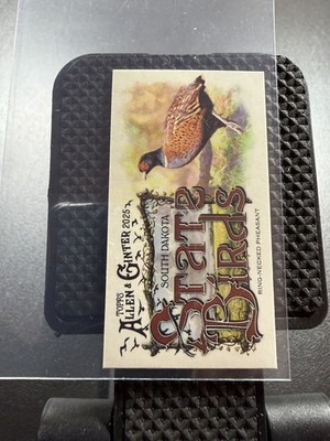 2025 Topps Allen & Ginter #SB-41 Ring-Necked Pheasant Mini State Birds