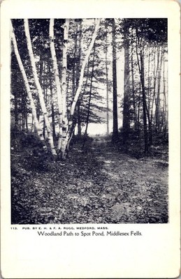 Vintage Woodland Path to Spot Pond Middlesex Fells Postcard Rugg