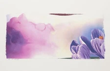 Michael Knigin, Shy Dawn III, Archival Pigment Print, signed, numbered, dated, a