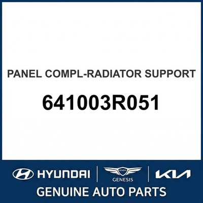 2013-2016 Kia Cadenza Panel Compl-Radiator Support OEM New 641003R051