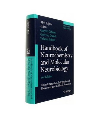 Brain Energetics. Integration of Molecular and Cellular Processes